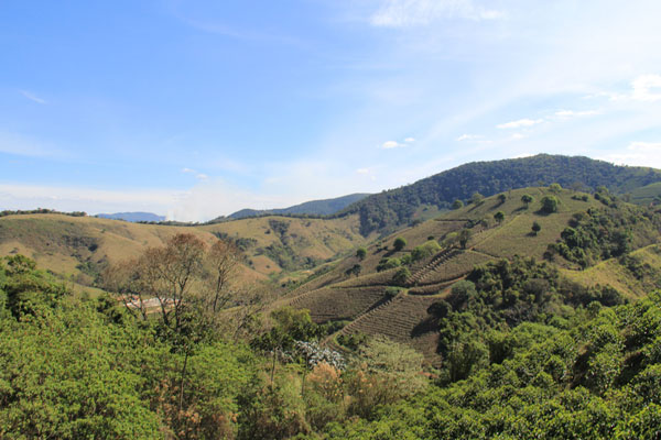 Fazenda