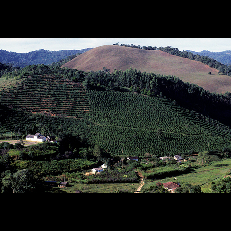 fazenda-rainha.jpg